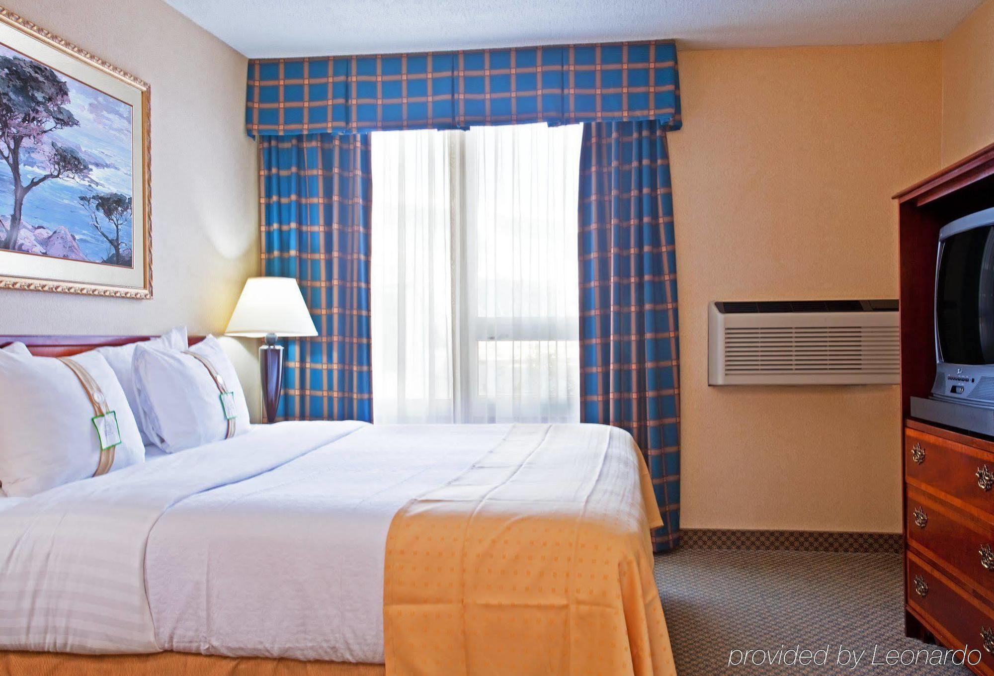 Holiday Inn Chicago - Elk Grove, An Ihg Hotel Elk Grove Village Zimmer foto