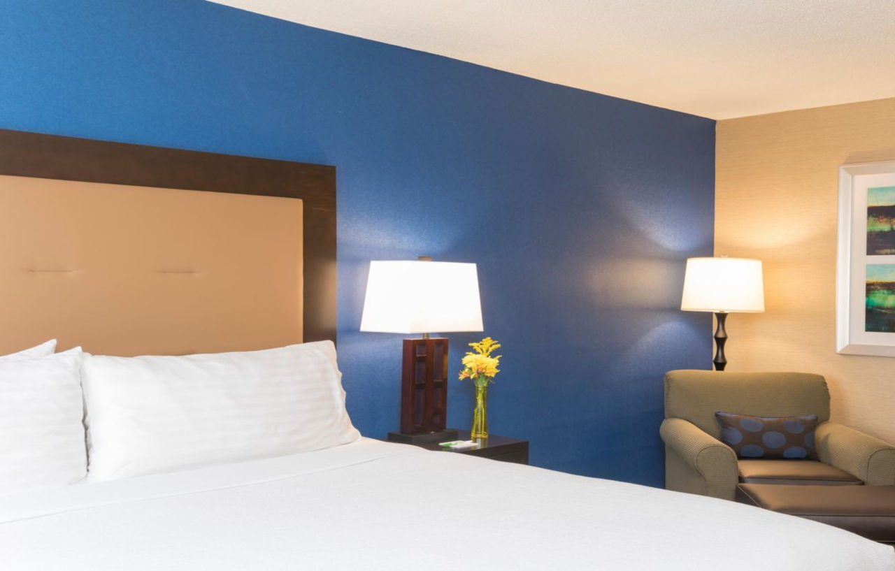 Holiday Inn Chicago - Elk Grove, An Ihg Hotel Elk Grove Village Exterior foto